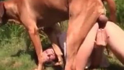 Порно с собакой, девушка спаривается с своей псиной сточ раком на природе. Зоо порно с животными онлайн
