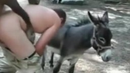 Пони трахает мужика в жопу. Ххх зоо порно видео с животными