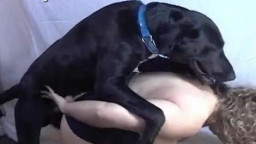 Собака ебёт толстую бабу.|Секс с животным онлайн