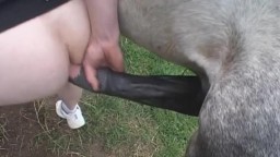 Шалава отдалась коню на ферме, порно с животными