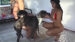 Бразильское зоо порно телок с собакой под музыку, скачать