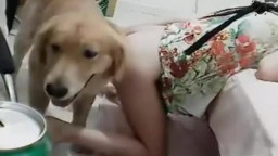 Собака ебёт молодую девушку в домашнем зоо порно