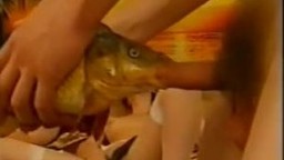 Парень трахает рыбу в рот пока тёлочки развлекаются с урями на фоне